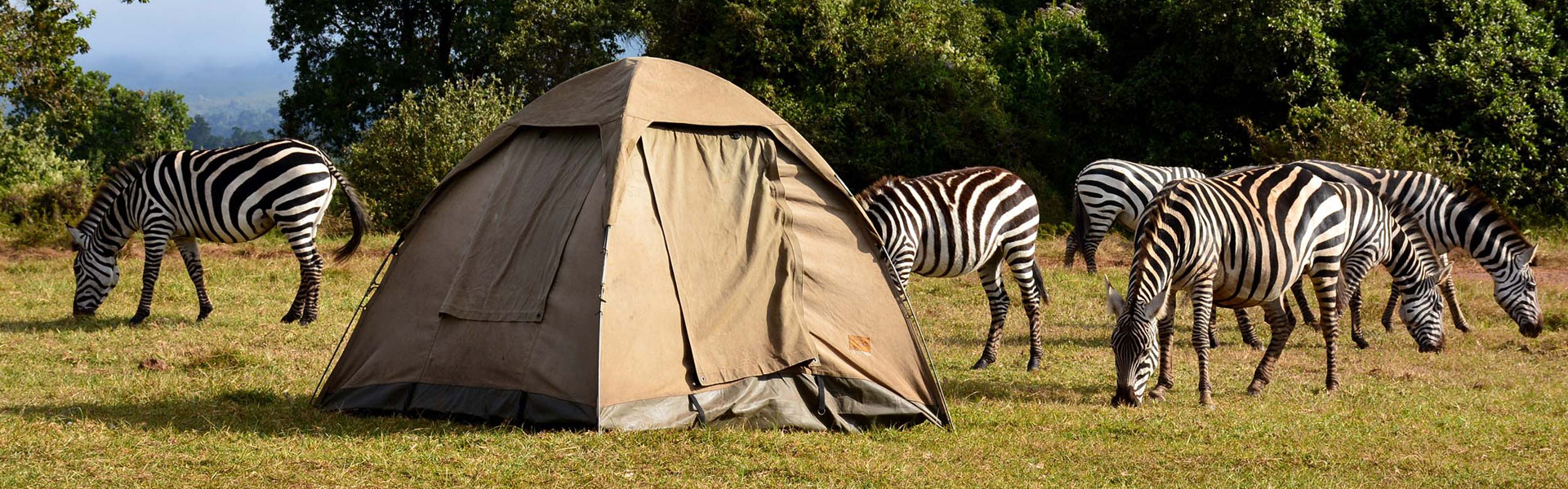 5-days-budgeted-camping-safari-serengeti-ngorongoro